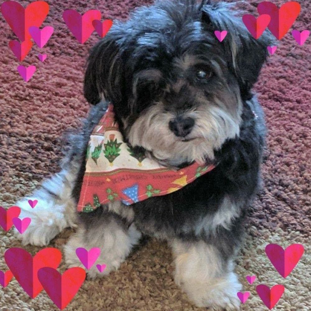 Meet your Posher, Debbie